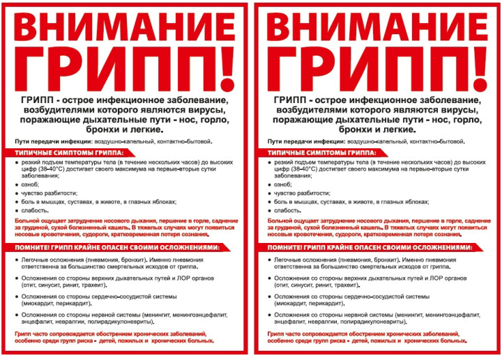 ПРОФИЛАКТИКА ГРИППА И ОРВИ ПРОФИЛАКТИКА ГРИППА И ОРВИ.